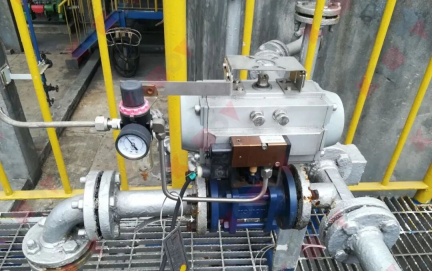 Actuator and valve installation documented in the original report