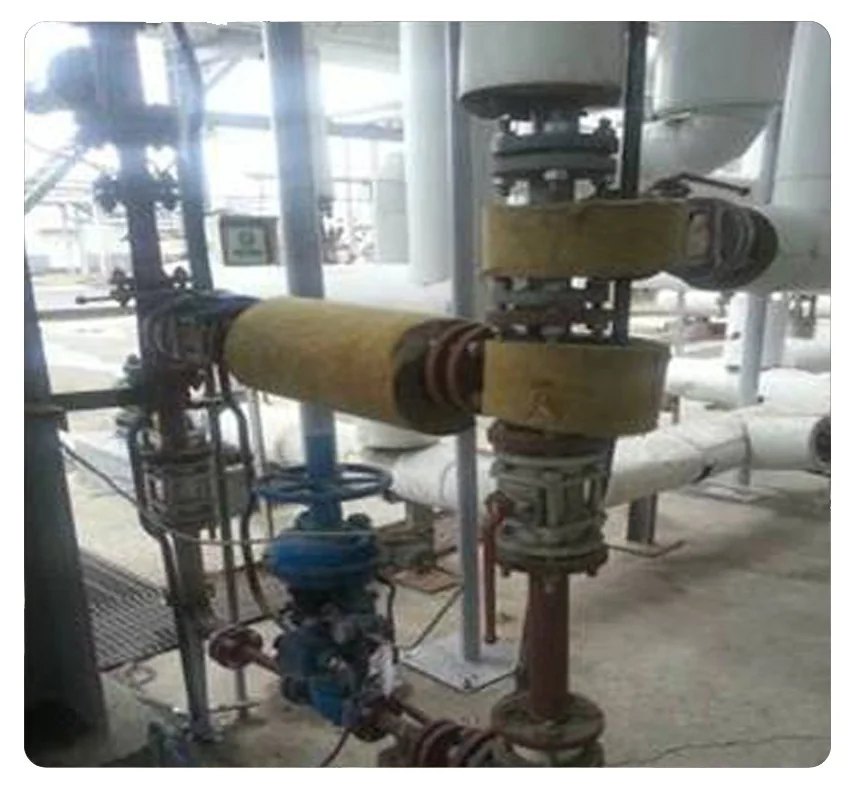 CO Shift & Syngas Purification: site photograph 1