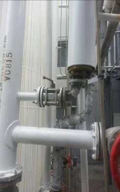 CO Shift & Syngas Purification: site photograph 3