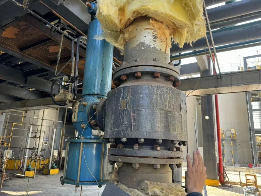 TiO2 Crystallization and Thickening: site photograph 3