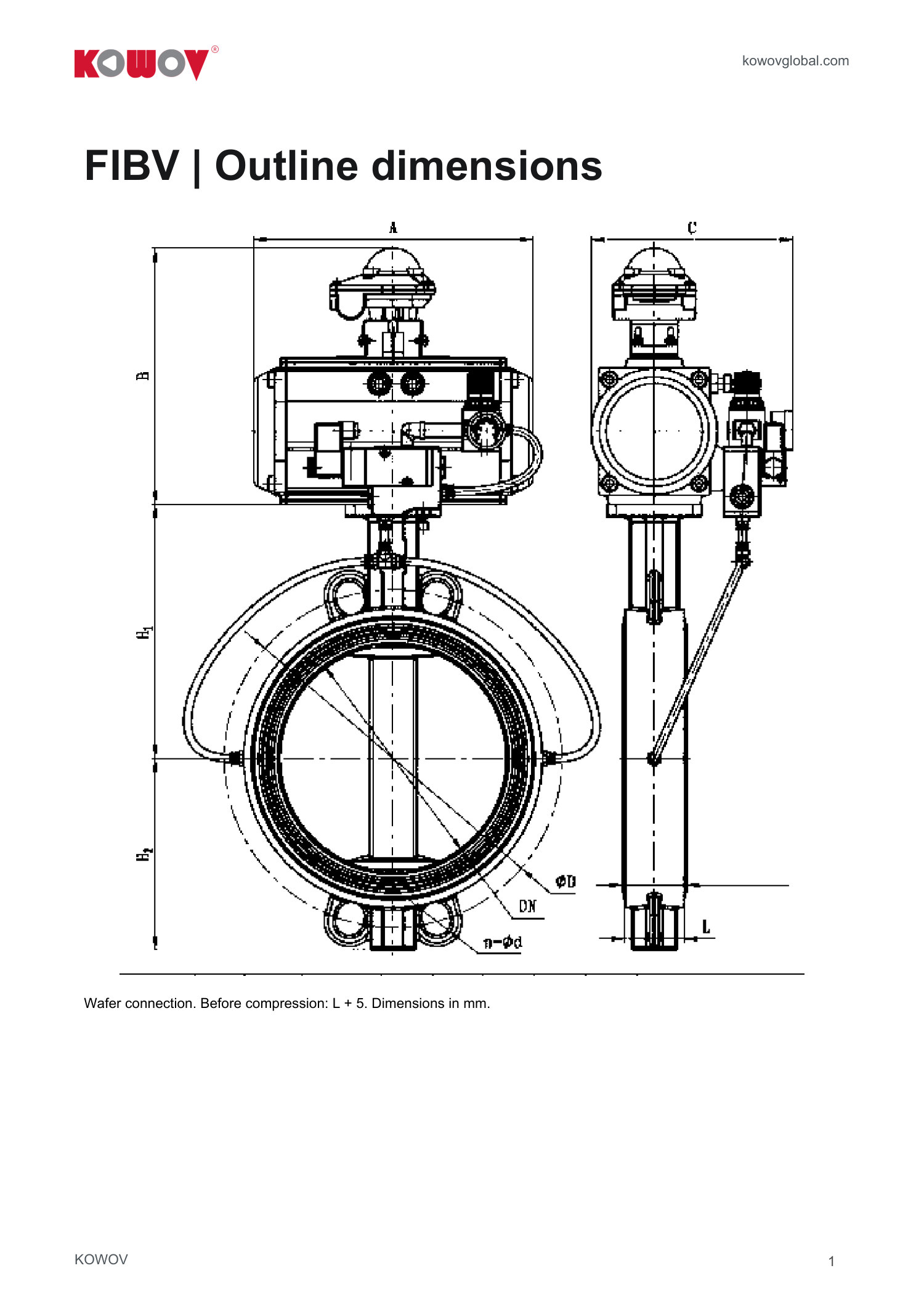 FIBV1 cover