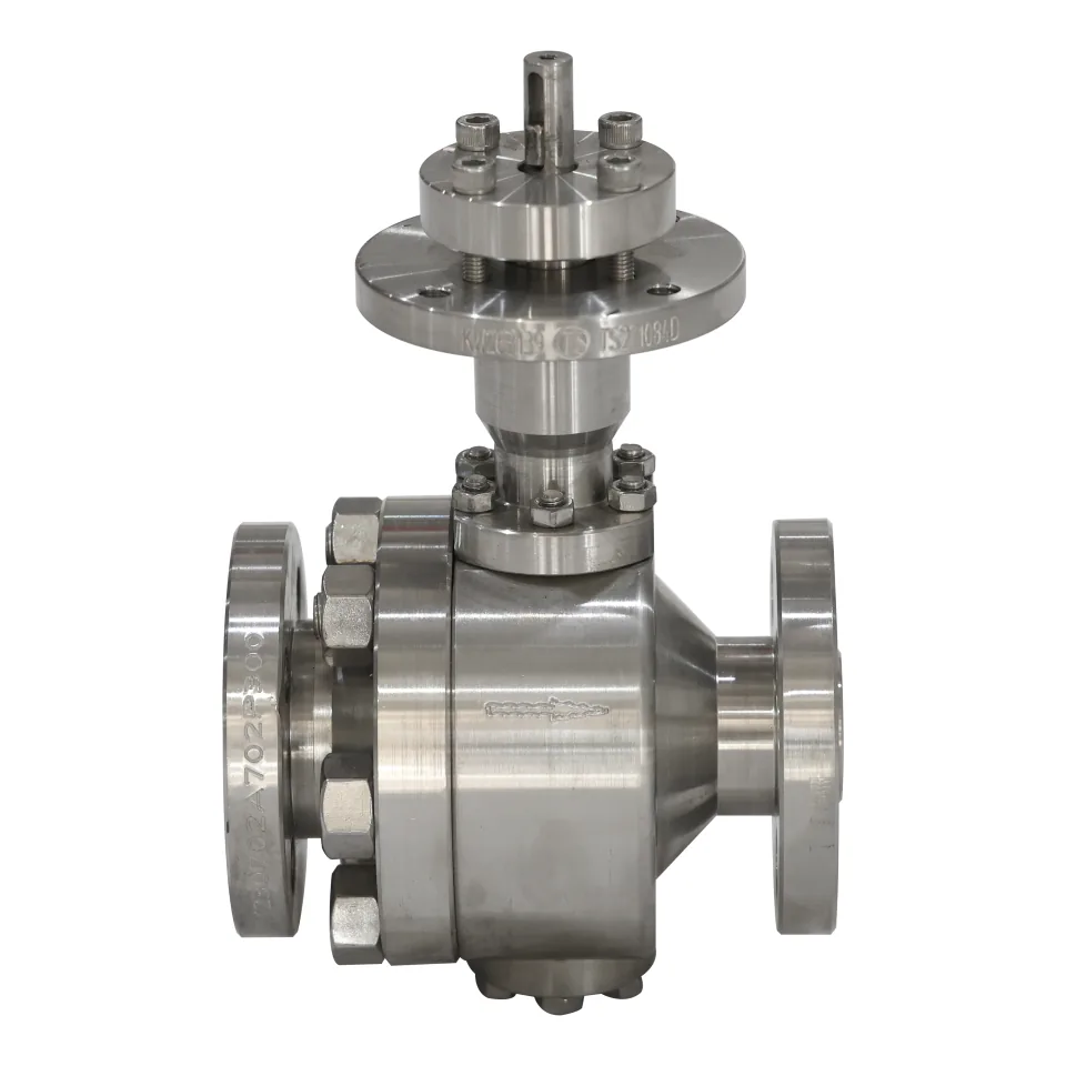 FCCV5 Ceramic Ball Valve, photo 2